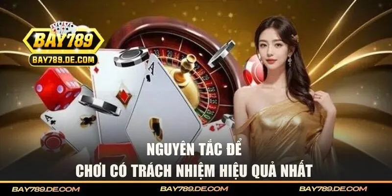 Các nguyên tắc để tham gia có trách nhiệm