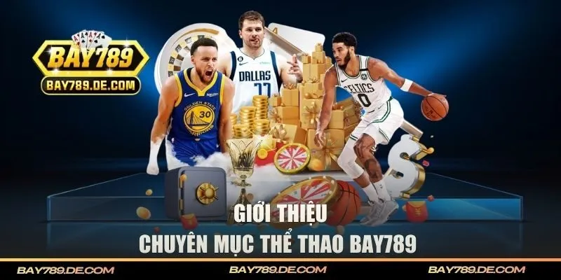 Giới thiệu chuyên mục thể thao tại BAY789
